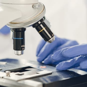 In Vitro Diagnostics