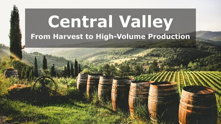 Vineyard with Bottling Facility