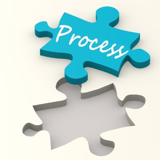 Confidential, Customized Search Process